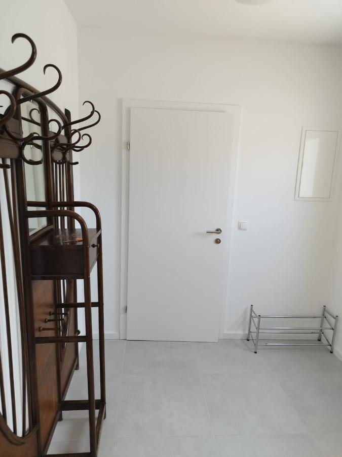 Haus Mit Garten Bei Wien Langenzersdorf エクステリア 写真